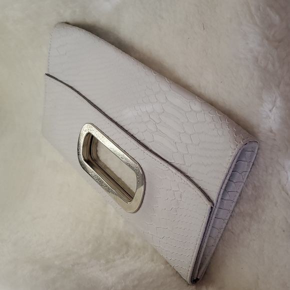 Express Magnetic Snake Skin Clutch
